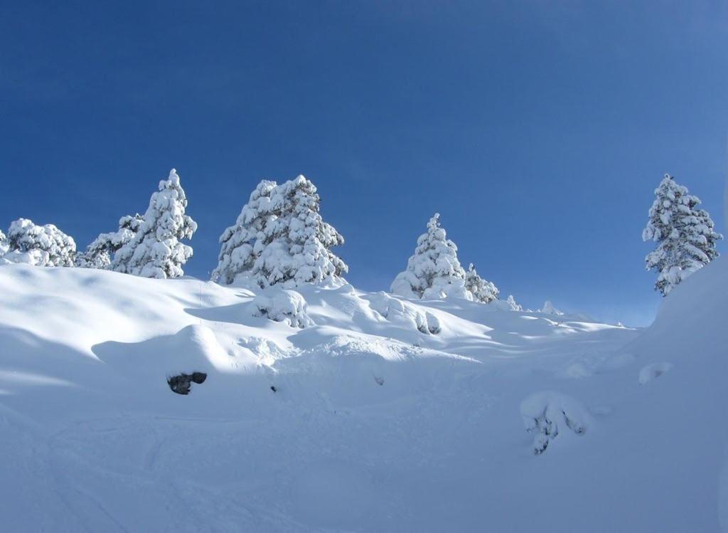 Javalambre Mountain Superski Camarena de la Sierra Extérieur photo